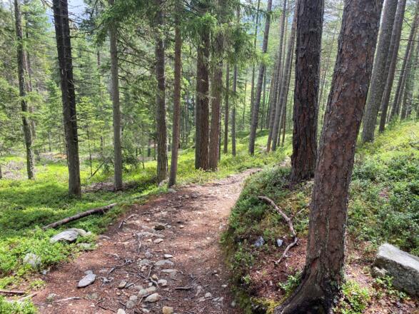 Wanderweg Tauferbergrunde