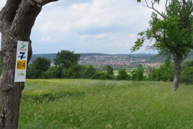 Blick auf Eltmann