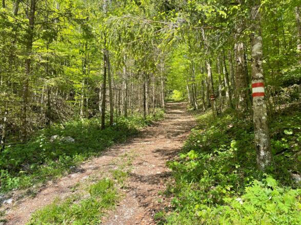 Pfannstein-Trail - Micheldorf