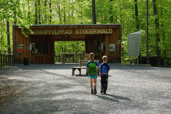 Eingang Baumwipfelpfad
