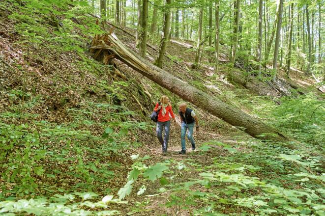 Auf dem Schlangenweg