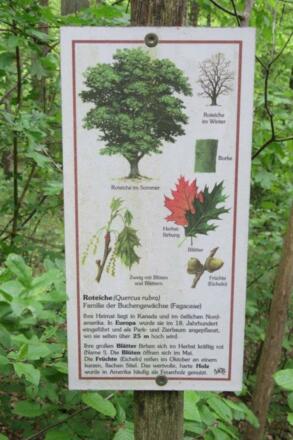 Baumlehrpfad Eschenau
