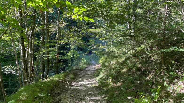 Lustiges Kegerl - Steyrdurchburch Trail