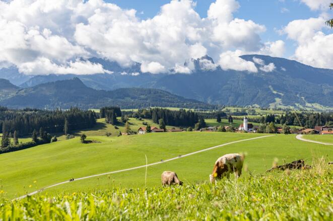 Blick auf Zell und den Breitenberg