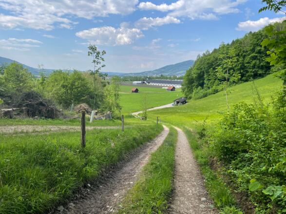 Pfannstein-Trail - Micheldorf