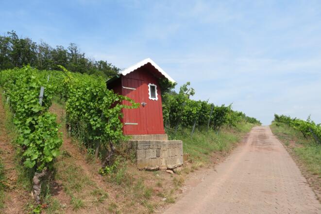 Weinberghäuschen am Kronberg