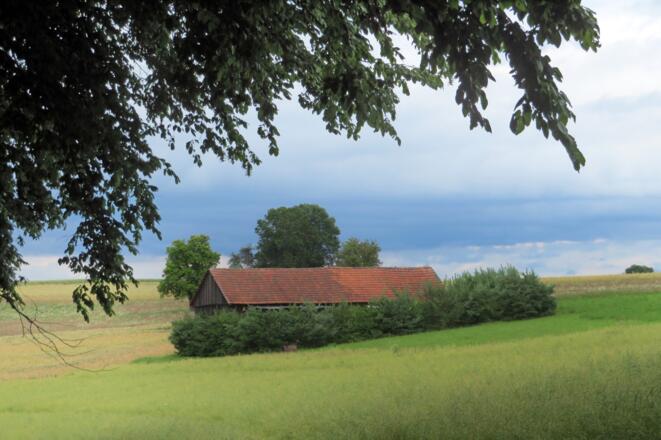 Landschaft am Feilsberg