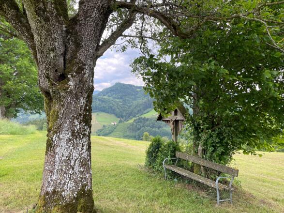 Glasenberg Trail - Maria Neustift