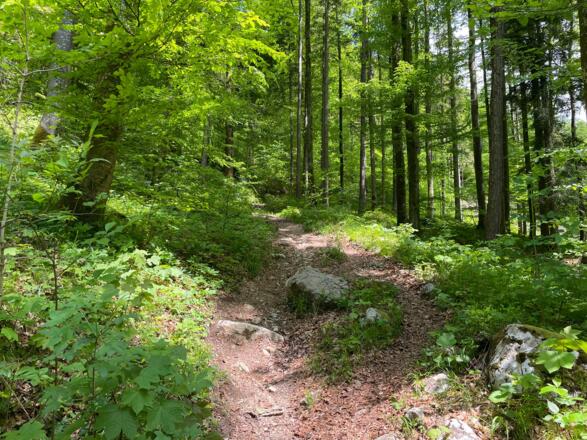 Pfannstein-Trail - Micheldorf