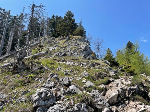 Pfannstein-Trail - Micheldorf