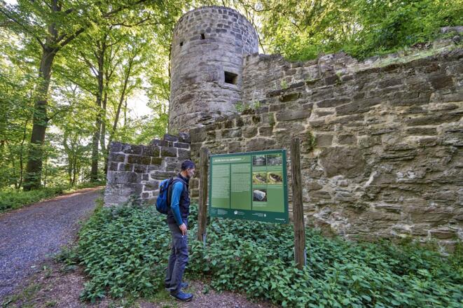Informationstafel an der Ruine Zabelstein