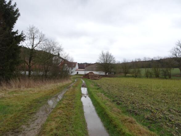 Versumpfte Wege bei Attenkofen