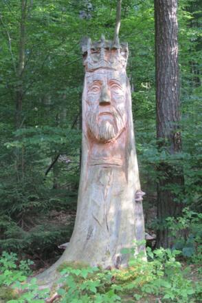 König des Waldes
