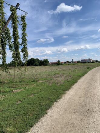 Klöster-Kirchen-Schmankerl Nord - Forst