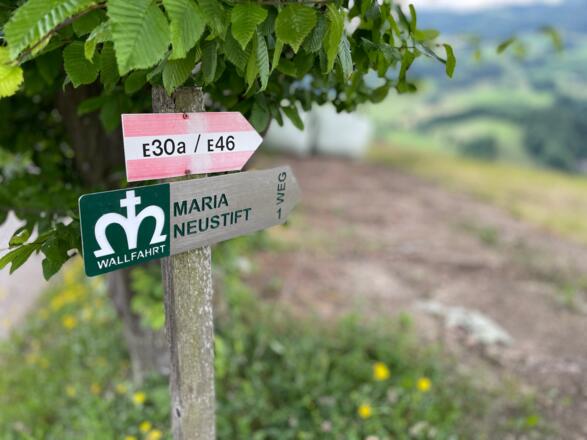 Glasenberg Trail - Maria Neustift