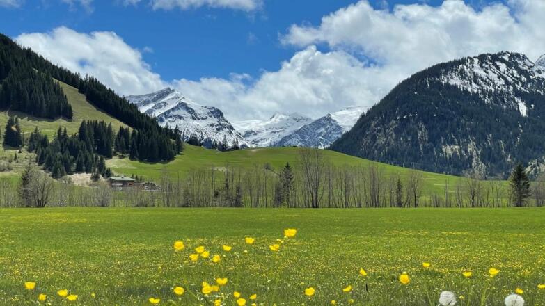 Landhaus Lignum - Blick in die Berge