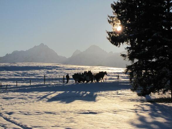 Pferdeschlittenfahrt