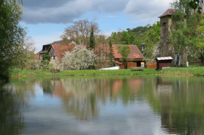 Dorfweiher Eschenau