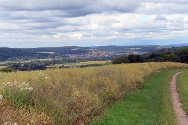 Blick über das Weintal