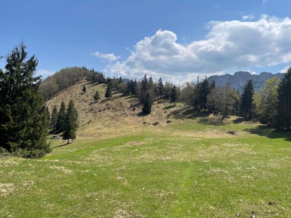 Pfannstein-Trail - Micheldorf