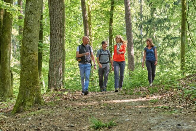 Waldweg bei Theinheim