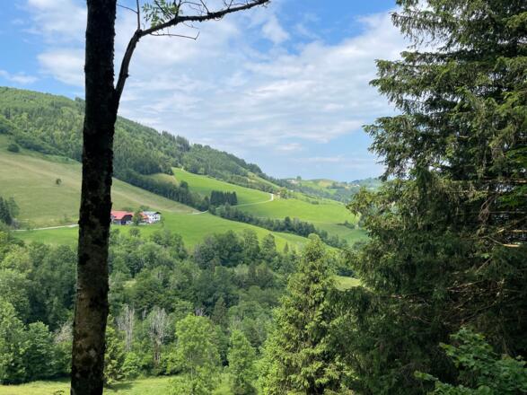 Glasenberg Trail - Maria Neustift