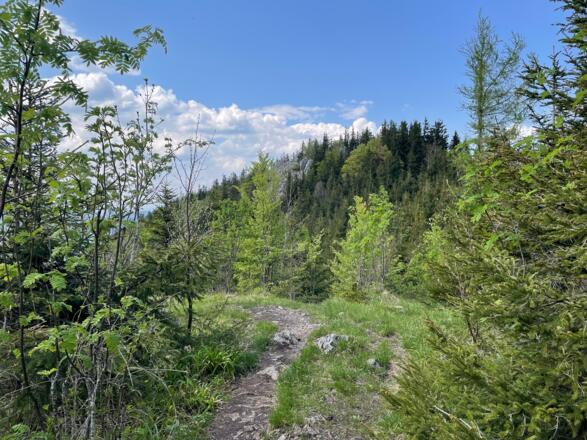 Pfannstein-Trail - Micheldorf