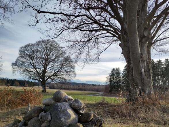 Hardtlandschaft zwischen Bauerbach und Marnbach