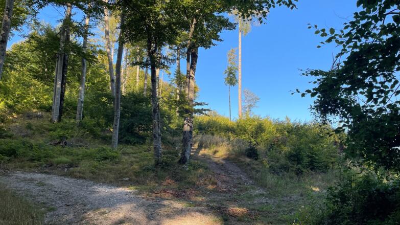 Lustiges Kegerl - Steyrdurchburch Trail