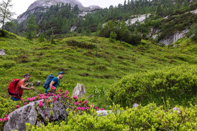 Zustieg vom Kärlingerhaus zum Hundstod.