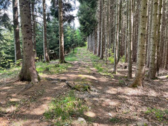 Pfannstein-Trail - Micheldorf