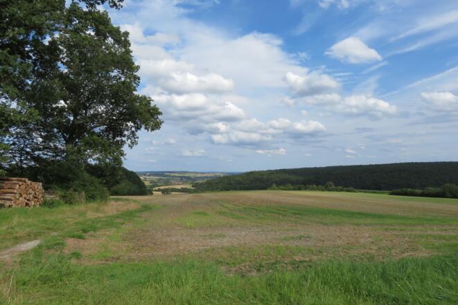 Weitblick