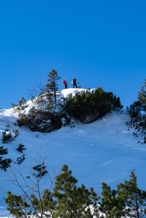 Der Gipfel der Lembergschneid, 1597 m.