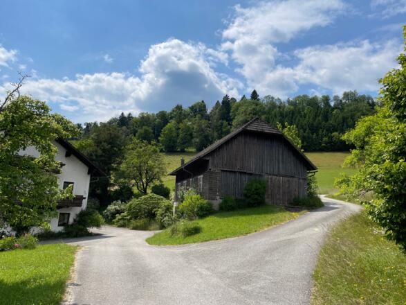 Glasenberg Trail - Maria Neustift