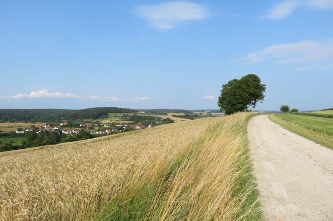 Auf dem Holzberg