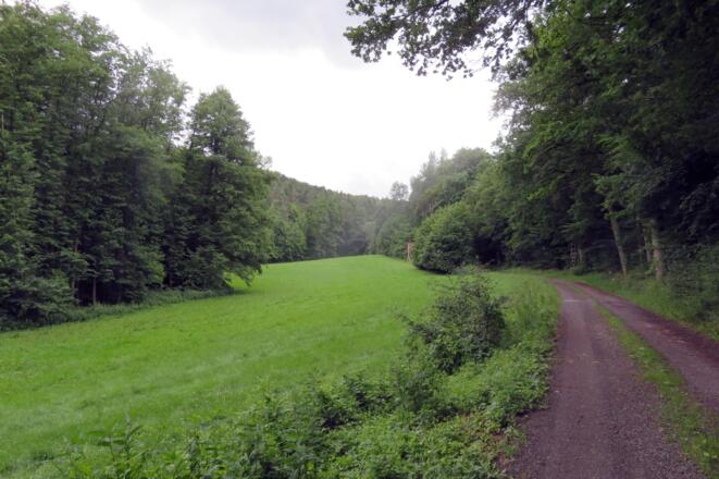 Lochbachtal