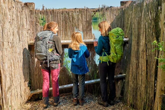 Vogelbeobachtungsstation LIFE Erlebnispfad Mainaue