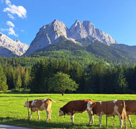 Das Ziel im Blick: Kl. Waxenstein, Mittagscharte, Zwölferkopf, Gr. Waxenstein (von links)