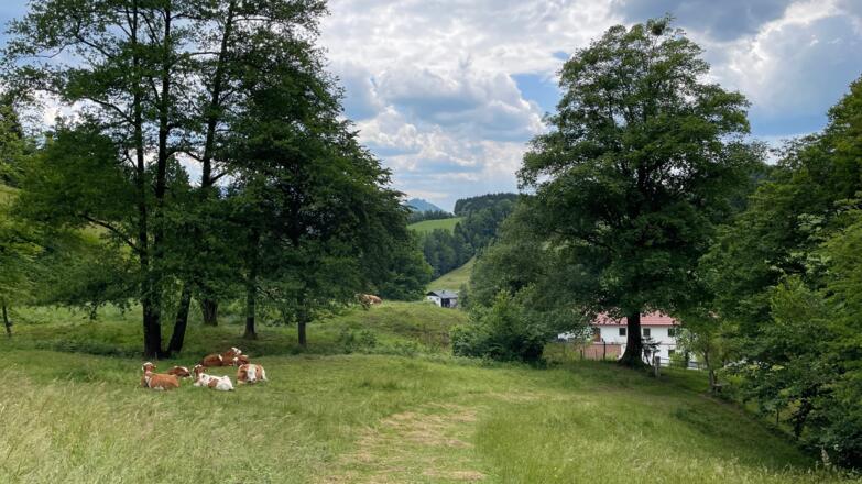 Glasenberg Trail - Maria Neustift