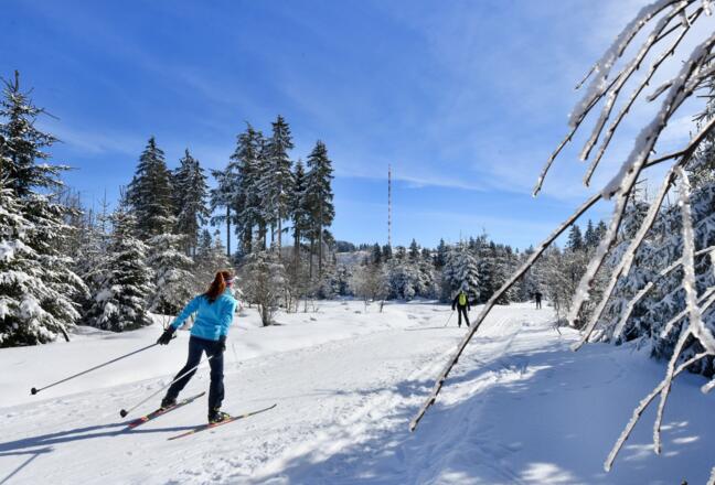Langlaufen am Roten Moor