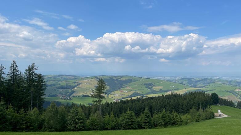 Glasenberg Trail - Maria Neustift