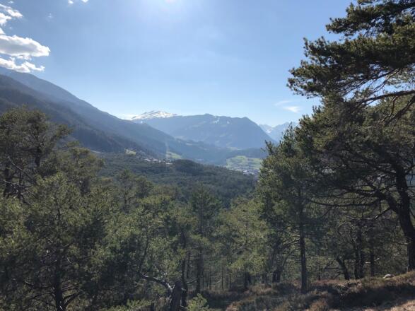 Sautner Forchet Ausblick