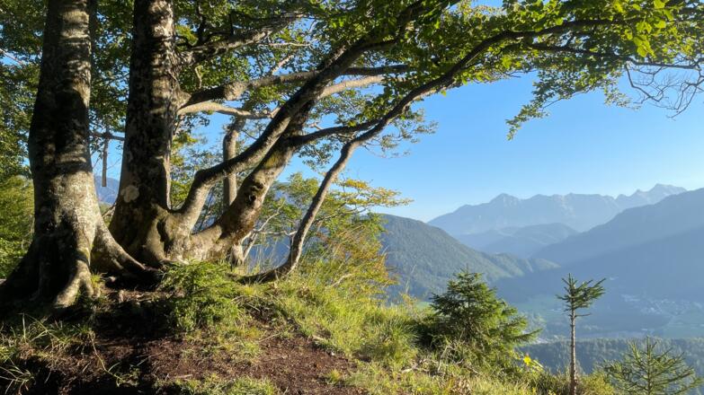 Lustiges Kegerl - Steyrdurchburch Trail