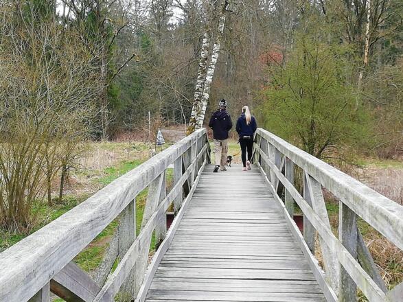 Holzsteg über die Amper bei Haag a. d. Amper