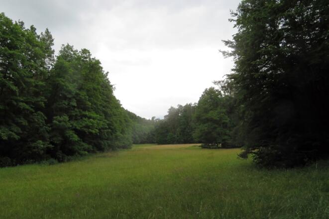 Lochbachtal