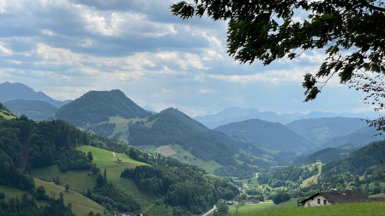 Glasenberg Trail - Maria Neustift