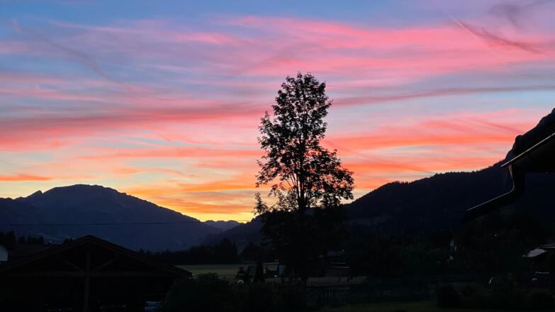 Landhaus Lignum - sommerliche Abendstimmung