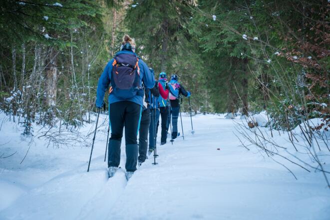 Backcountry im Gänsemarsch
