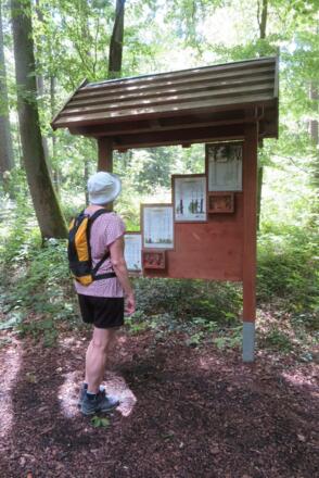 Tretzendorfer Weiher Waldstation