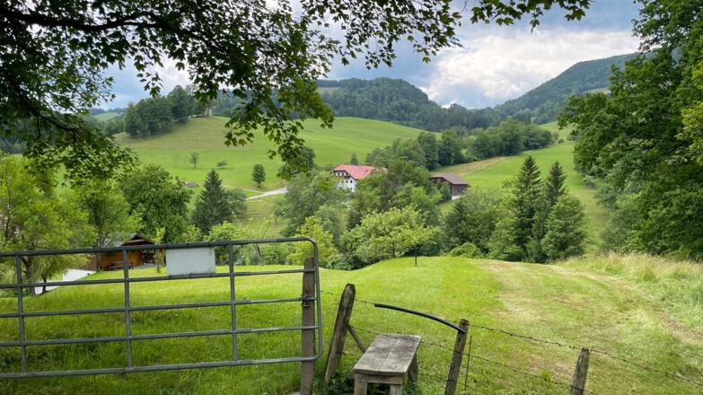 Glasenberg Trail - Maria Neustift